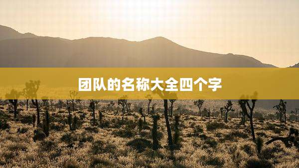 团队的名称大全四个字