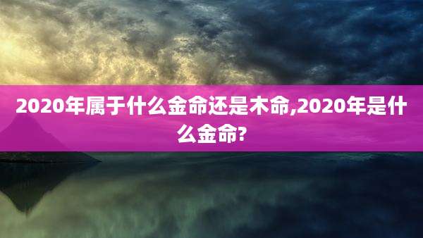 2020年属于什么金命还是木命,2020年是什么金命?