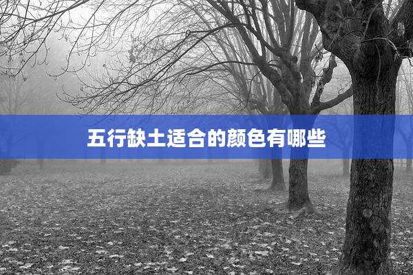 五行缺土适合的颜色有哪些