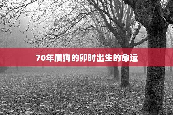 70年属狗的卯时出生的命运