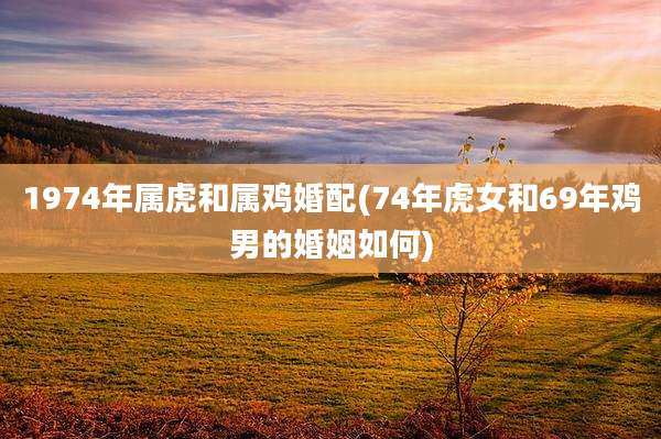 1974年属虎和属鸡婚配(74年虎女和69年鸡男的婚姻如何)