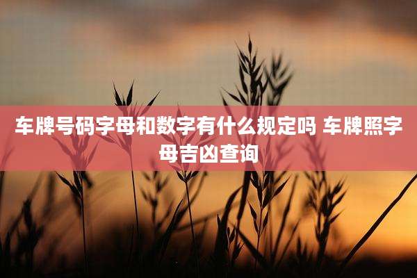 车牌号码字母和数字有什么规定吗 车牌照字母吉凶查询