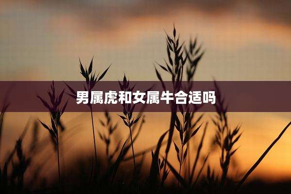 男属虎和女属牛合适吗