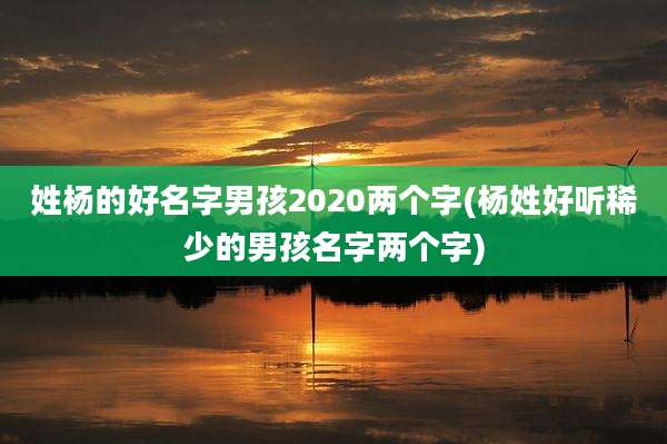 姓杨的好名字男孩2020两个字(杨姓好听稀少的男孩名字两个字)