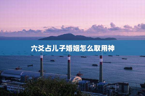 六爻占儿子婚姻怎么取用神