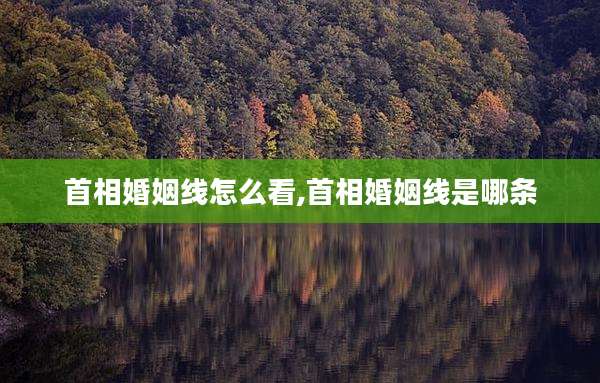 首相婚姻线怎么看,首相婚姻线是哪条