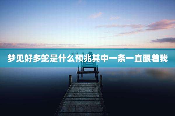 梦见好多蛇是什么预兆其中一条一直跟着我