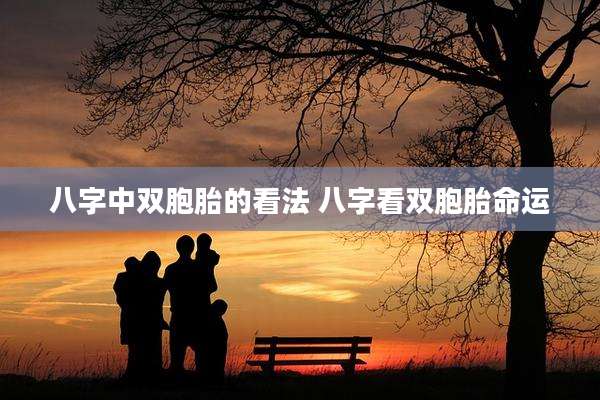 八字中双胞胎的看法 八字看双胞胎命运