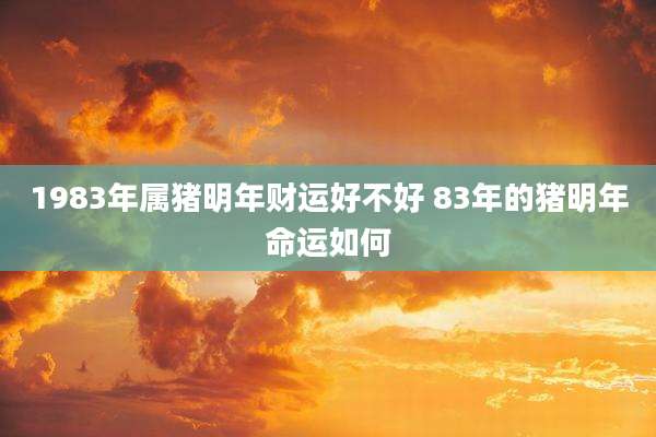 1983年属猪明年财运好不好 83年的猪明年命运如何