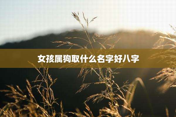 女孩属狗取什么名字好八字