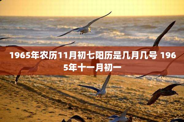 1965年农历11月初七阳历是几月几号 1965年十一月初一
