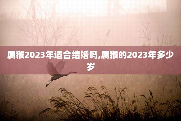 属猴2023年适合结婚吗,属猴的2023年多少岁