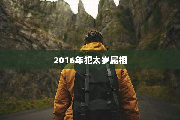 2016年犯太岁属相