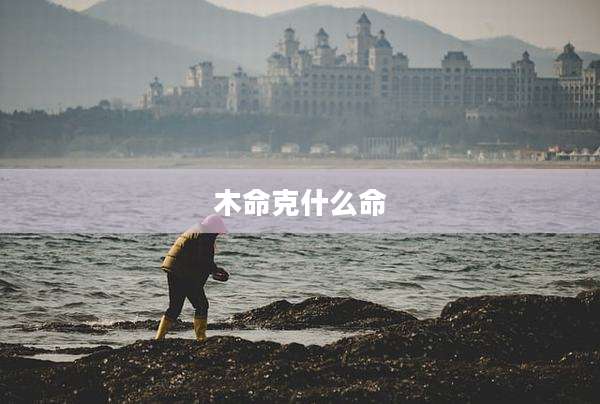 木命克什么命