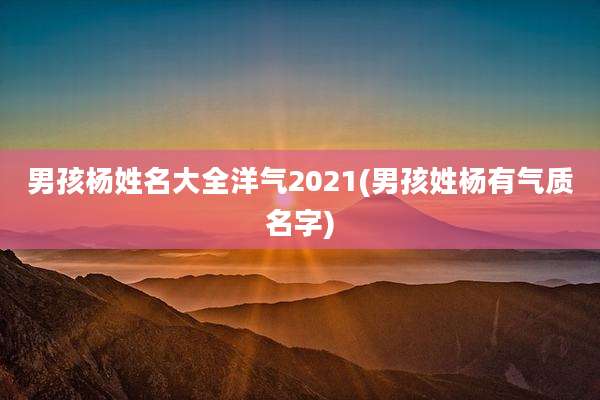 男孩杨姓名大全洋气2021(男孩姓杨有气质名字)