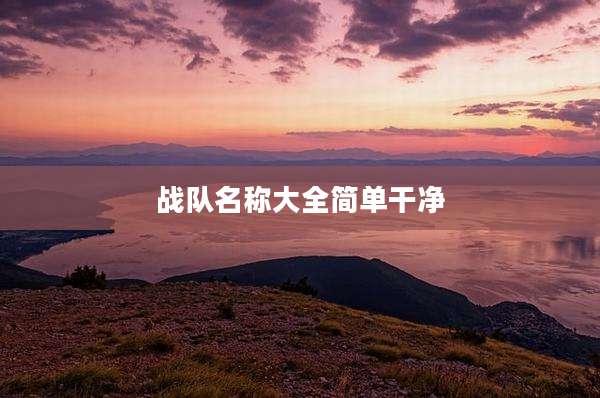 战队名称大全简单干净