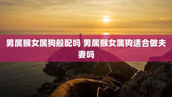 男属猴女属狗般配吗 男属猴女属狗适合做夫妻吗