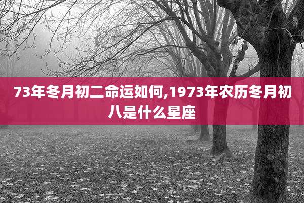 73年冬月初二命运如何,1973年农历冬月初八是什么星座