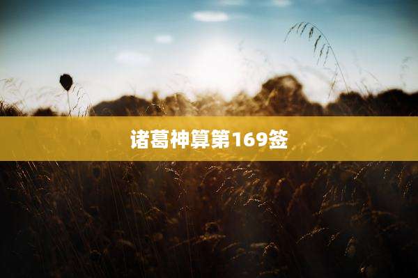 诸葛神算第169签