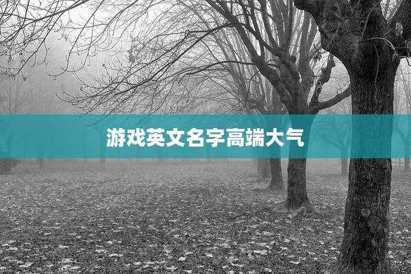 游戏英文名字高端大气
