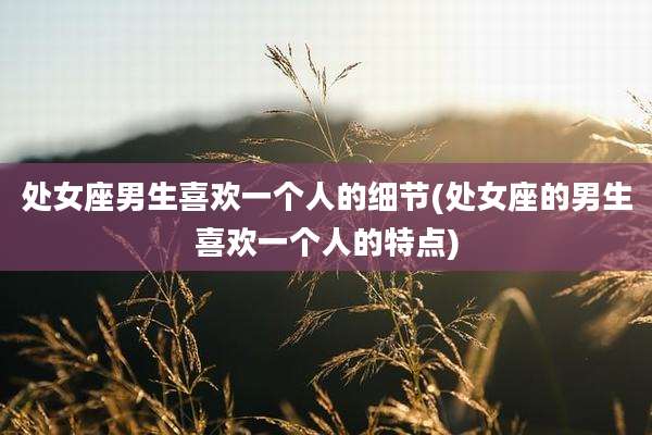 处女座男生喜欢一个人的细节(处女座的男生喜欢一个人的特点)