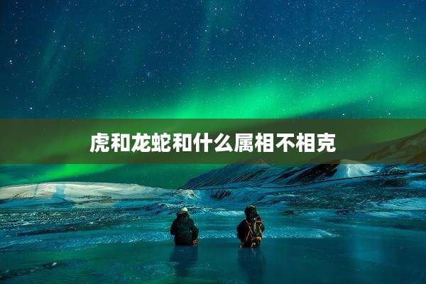虎和龙蛇和什么属相不相克