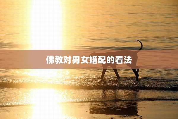 佛教对男女婚配的看法