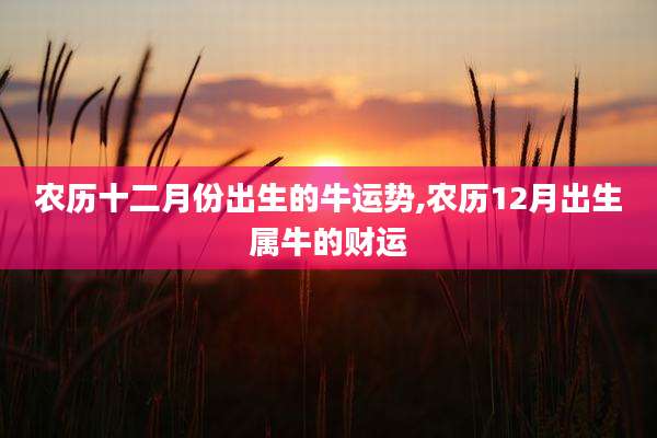 农历十二月份出生的牛运势,农历12月出生属牛的财运