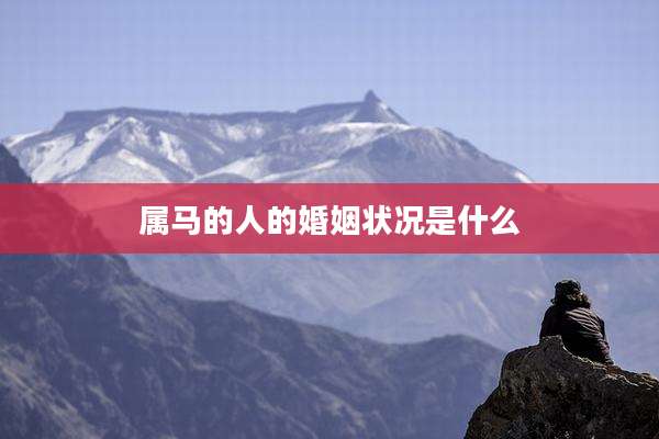 属马的人的婚姻状况是什么