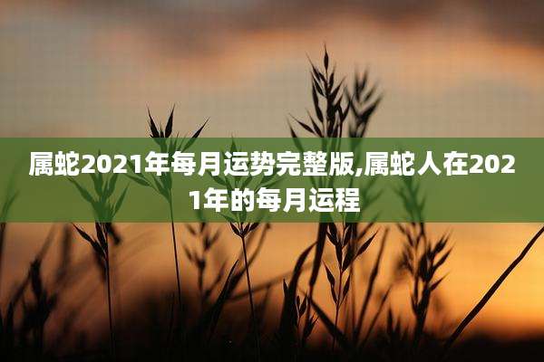 属蛇2021年每月运势完整版,属蛇人在2021年的每月运程
