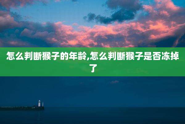 怎么判断猴子的年龄,怎么判断猴子是否冻掉了