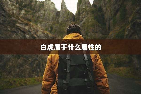 白虎属于什么属性的