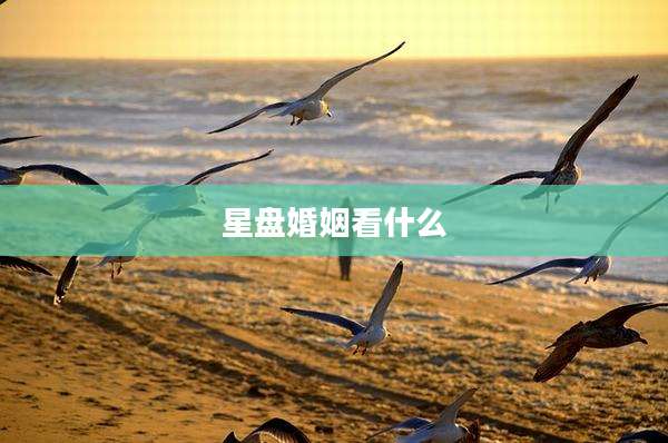 星盘婚姻看什么
