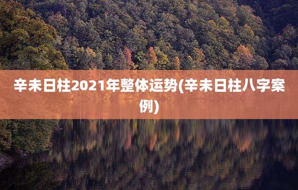 辛未日柱2021年整体运势(辛未日柱八字案例)
