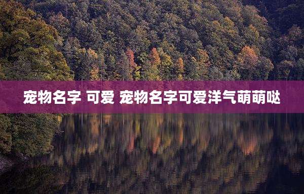 宠物名字 可爱 宠物名字可爱洋气萌萌哒