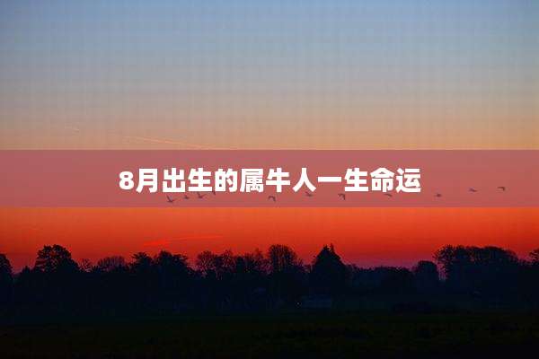 8月出生的属牛人一生命运
