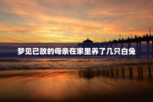 梦见已故的母亲在家里养了几只白兔