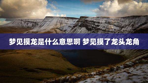 梦见摸龙是什么意思啊 梦见摸了龙头龙角