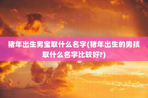 猪年出生男宝取什么名字(猪年出生的男孩取什么名字比较好?)