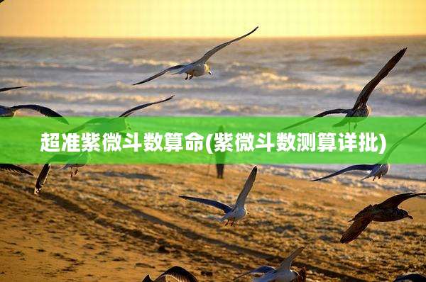超准紫微斗数算命(紫微斗数测算详批)