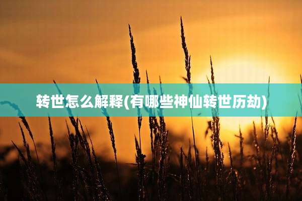 转世怎么解释(有哪些神仙转世历劫)
