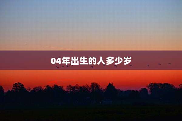 04年出生的人多少岁