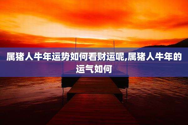 属猪人牛年运势如何看财运呢,属猪人牛年的运气如何