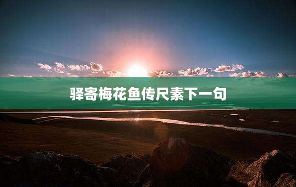 驿寄梅花鱼传尺素下一句