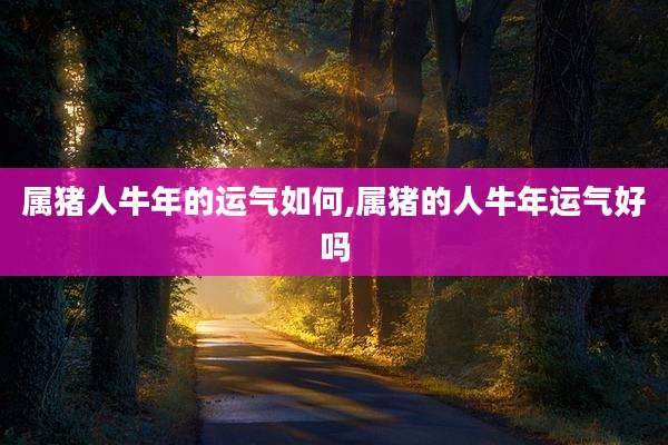 属猪人牛年的运气如何,属猪的人牛年运气好吗