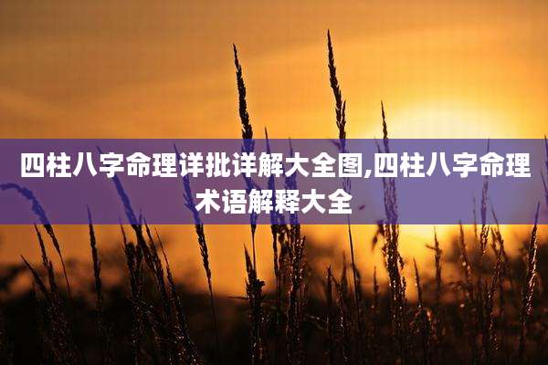 四柱八字命理详批详解大全图,四柱八字命理术语解释大全