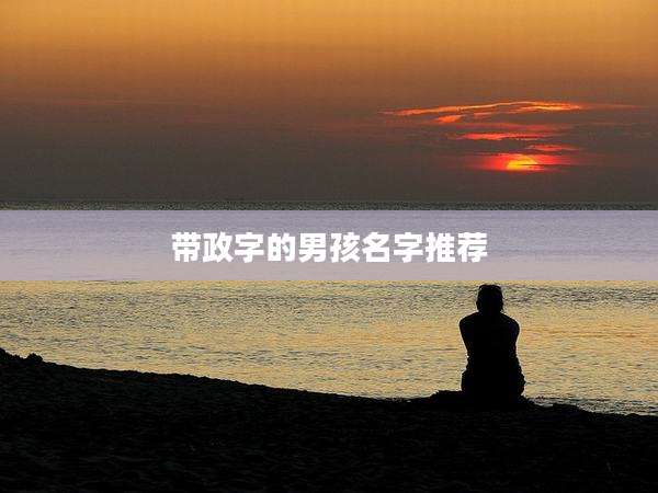 带政字的男孩名字推荐