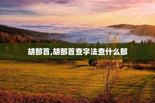 胡部首,胡部首查字法查什么部