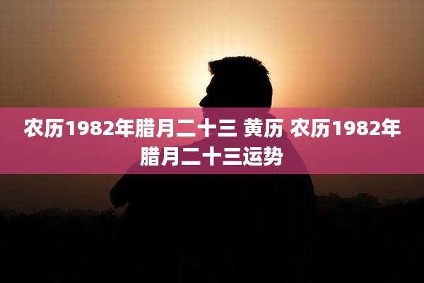 农历1982年腊月二十三 黄历 农历1982年腊月二十三运势