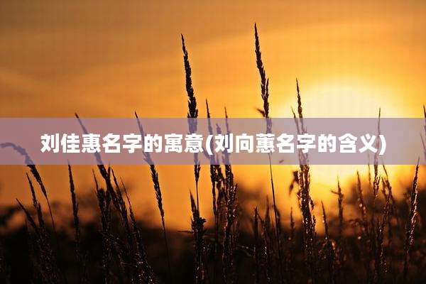 刘佳惠名字的寓意(刘向蕙名字的含义)